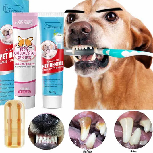 Toothpaste for Dogs & Cats. - Maison Novaire