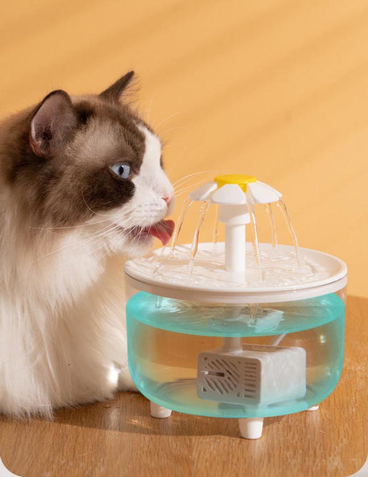 USB Electric Pet fountain drinking bowl. - Maison Novaire