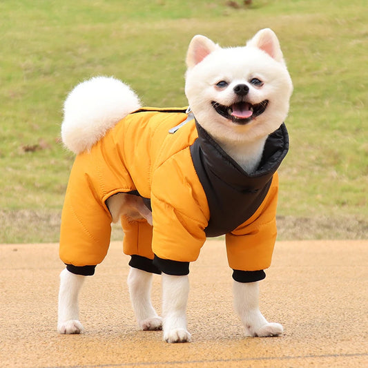 Waterproof Winter Dog Jacket - Maison Novaire