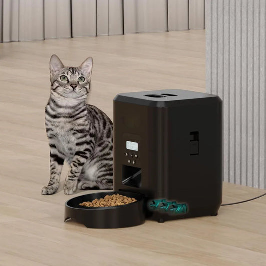 WiFi enabled Pet Feeder. - Maison Novaire
