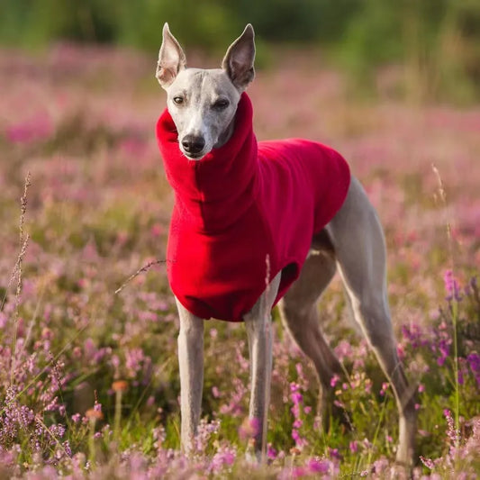 Winter Fleece Whippet Vest – Italian Greyhound Turtleneck Dog Clothes - Maison Novaire